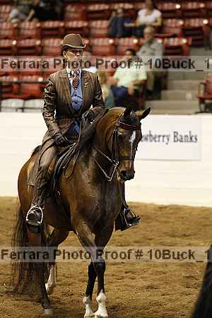 Proof Number 10buck_1035