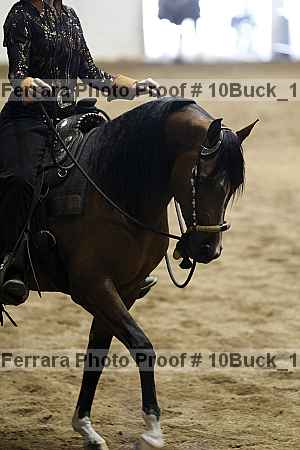 Proof Number 10buck_1053
