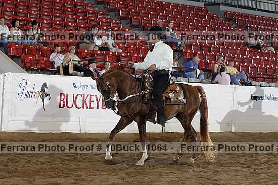 Proof Number 10buck_1064