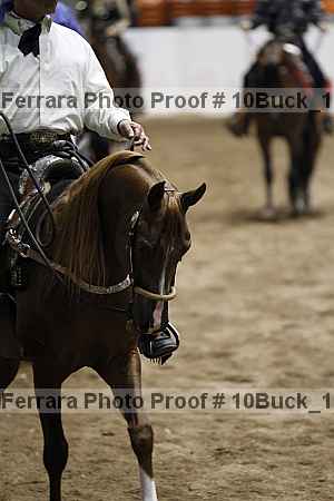 Proof Number 10buck_1067
