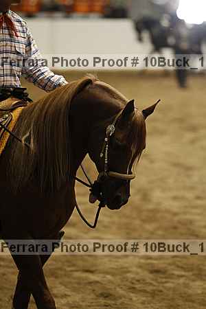 Proof Number 10buck_1075