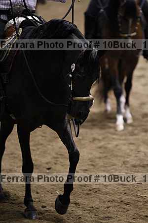 Proof Number 10buck_1080