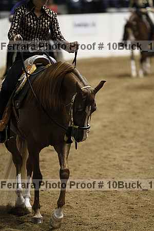 Proof Number 10buck_1084