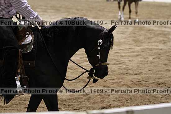 Proof Number 10buck_1109