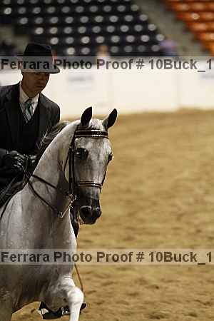 Proof Number 10buck_1140
