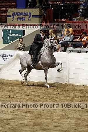 Proof Number 10buck_1190
