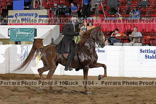 Proof Number 10buck_1194