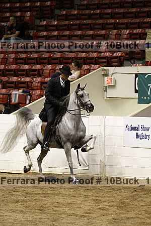 Proof Number 10buck_1196