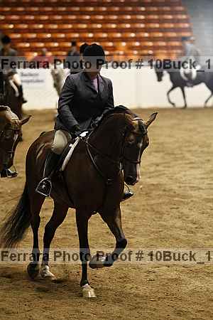 Proof Number 10buck_1268