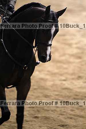 Proof Number 10buck_1270