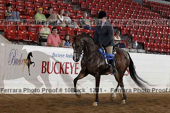 Proof Number 10buck_1281