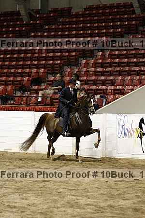 Proof Number 10buck_1309