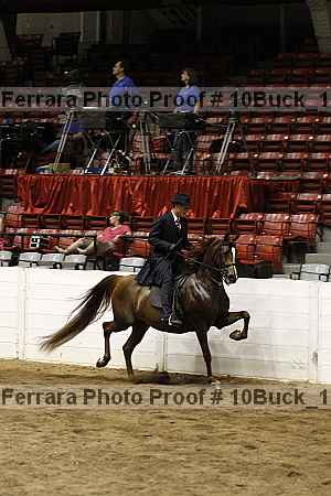 Proof Number 10buck_1310