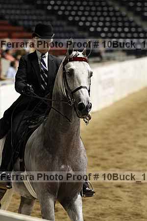Proof Number 10buck_1336