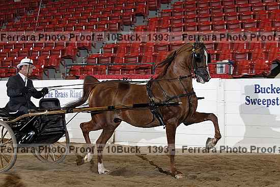 Proof Number 10buck_1393