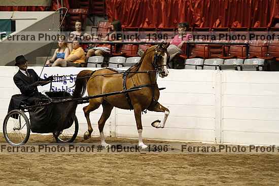 Proof Number 10buck_1396