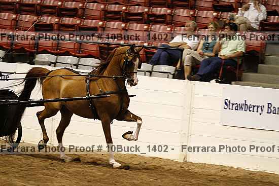 Proof Number 10buck_1402