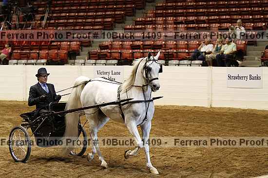 Proof Number 10buck_1409