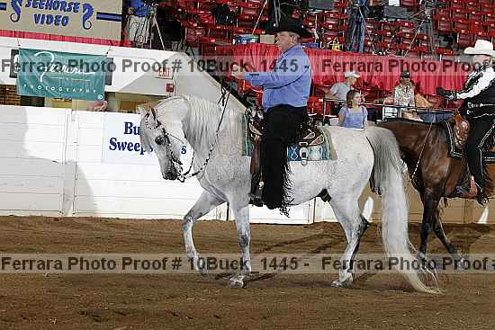 Proof Number 10buck_1445