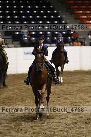 Proof Number 10buck_4758