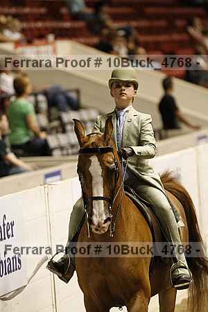 Proof Number 10buck_4768