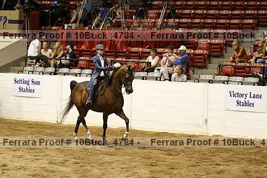 Proof Number 10buck_4784