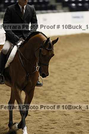 Proof Number 10buck_1486