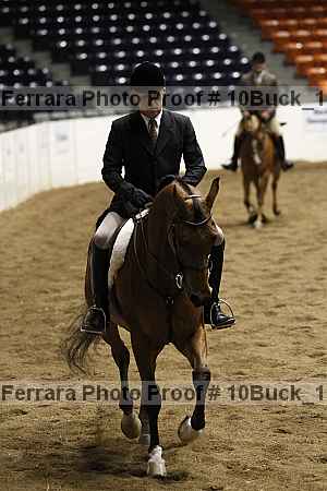 Proof Number 10buck_1501