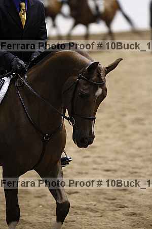 Proof Number 10buck_1509