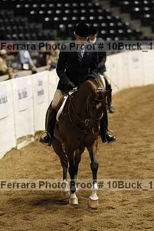 Proof Number 10buck_1511