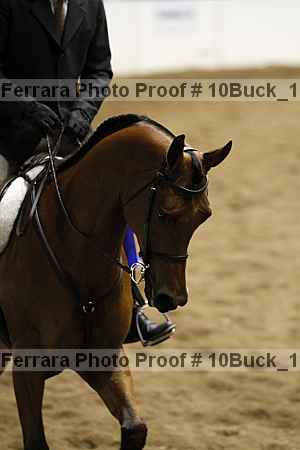 Proof Number 10buck_1529