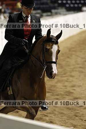 Proof Number 10buck_1542
