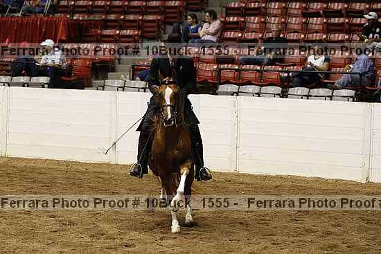 Proof Number 10buck_1555