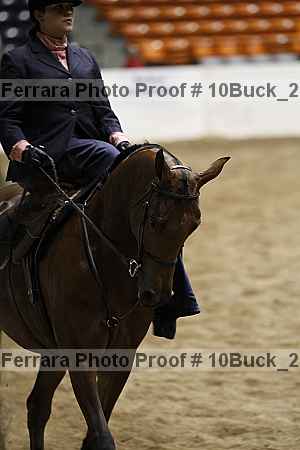 Proof Number 10buck_2006