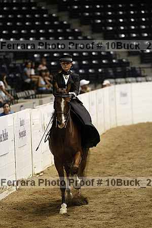 Proof Number 10buck_2008
