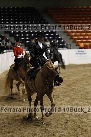 Proof Number 10buck_2024