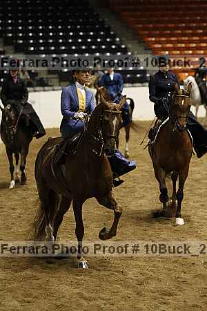 Proof Number 10buck_2028