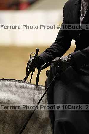 Proof Number 10buck_2032