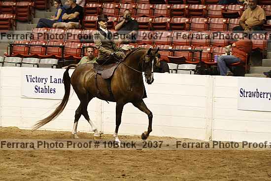 Proof Number 10buck_2037
