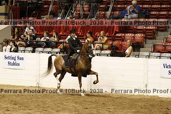 Proof Number 10buck_2038