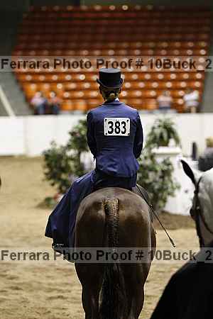 Proof Number 10buck_2041