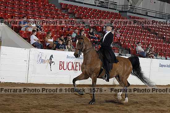 Proof Number 10buck_1578