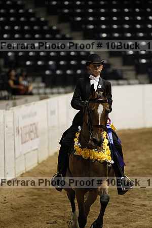 Proof Number 10buck_1608