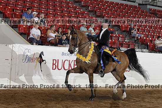 Proof Number 10buck_1609