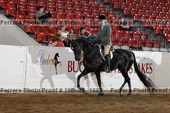 Proof Number 10buck_1683