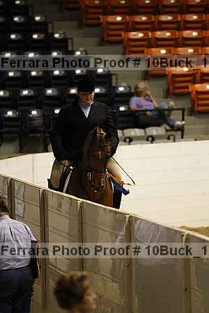 Proof Number 10buck_1699