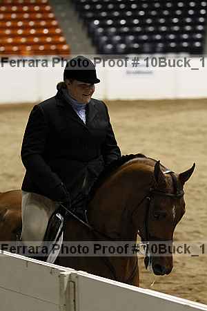 Proof Number 10buck_1701