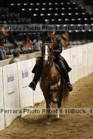 Proof Number 10buck_1719