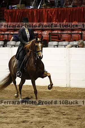Proof Number 10buck_1751