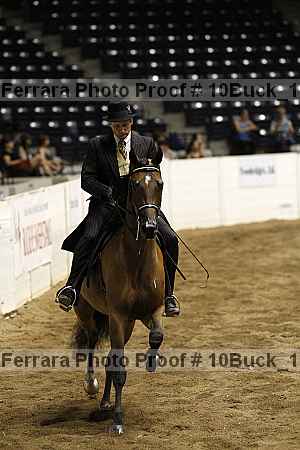 Proof Number 10buck_1785